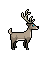 elder_stag1.gif
